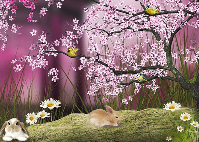 Masal Terapisi Eğitimi